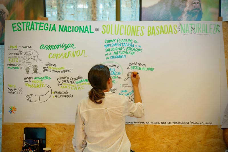 Mujer realiza mapa mental en tablero, que muestra la estrategia Nacional sobre la deforestación  en la Amazonia.